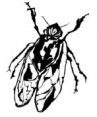 Cicada Press