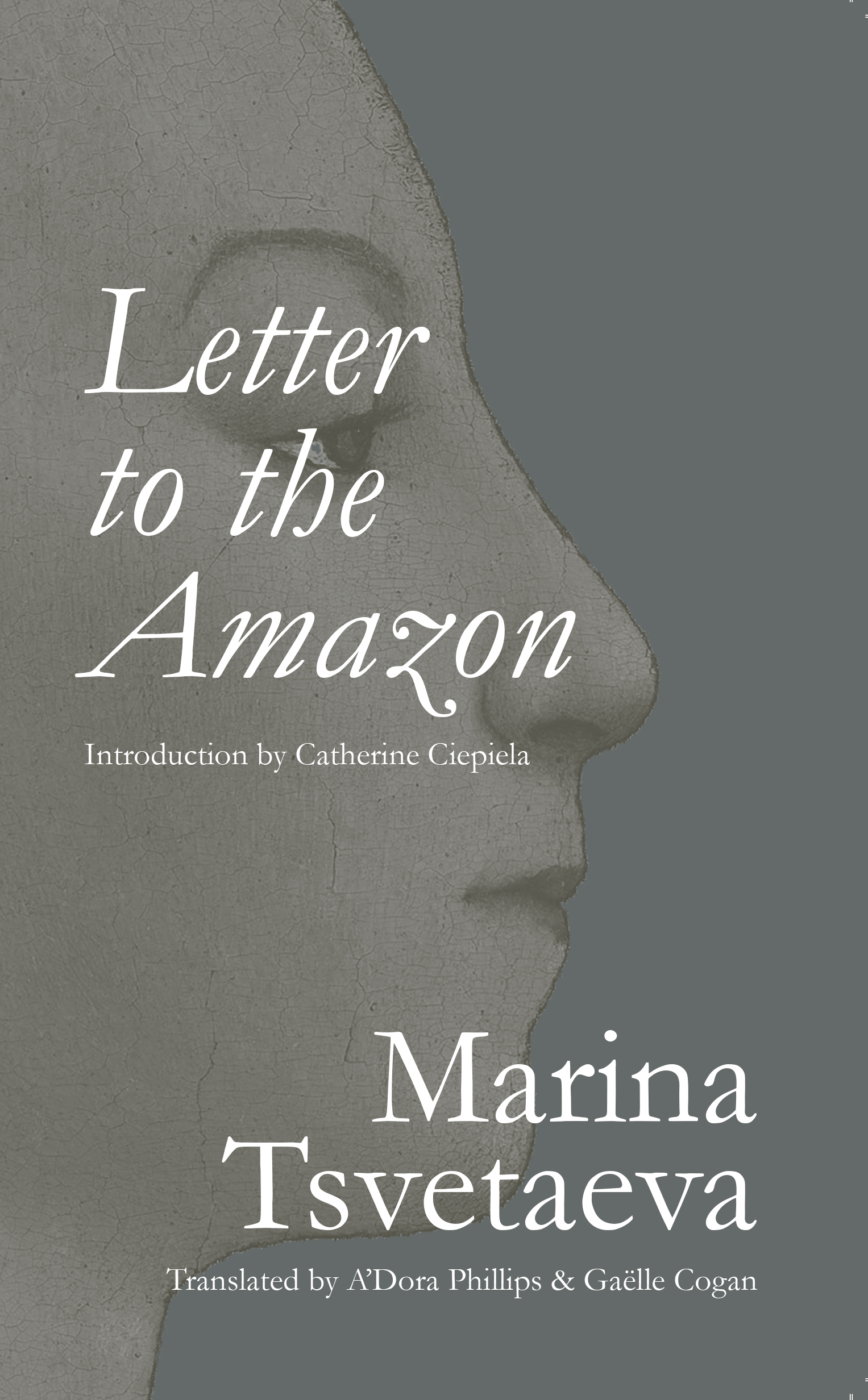 Letter to the Amazon Letter to the Amazon