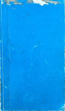 6000000 obviniaiut. Rech' izrail'skogo general'nogo prokurora na protsesse Eikhmana