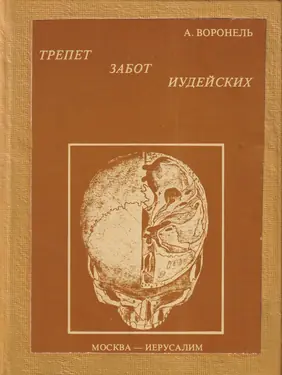 Trepet zabot iudeiskikh