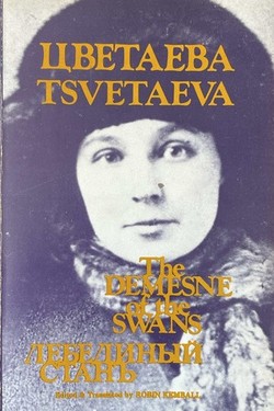Lebedinyi stan