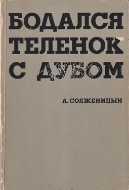 Bodalsia telenok s dubom