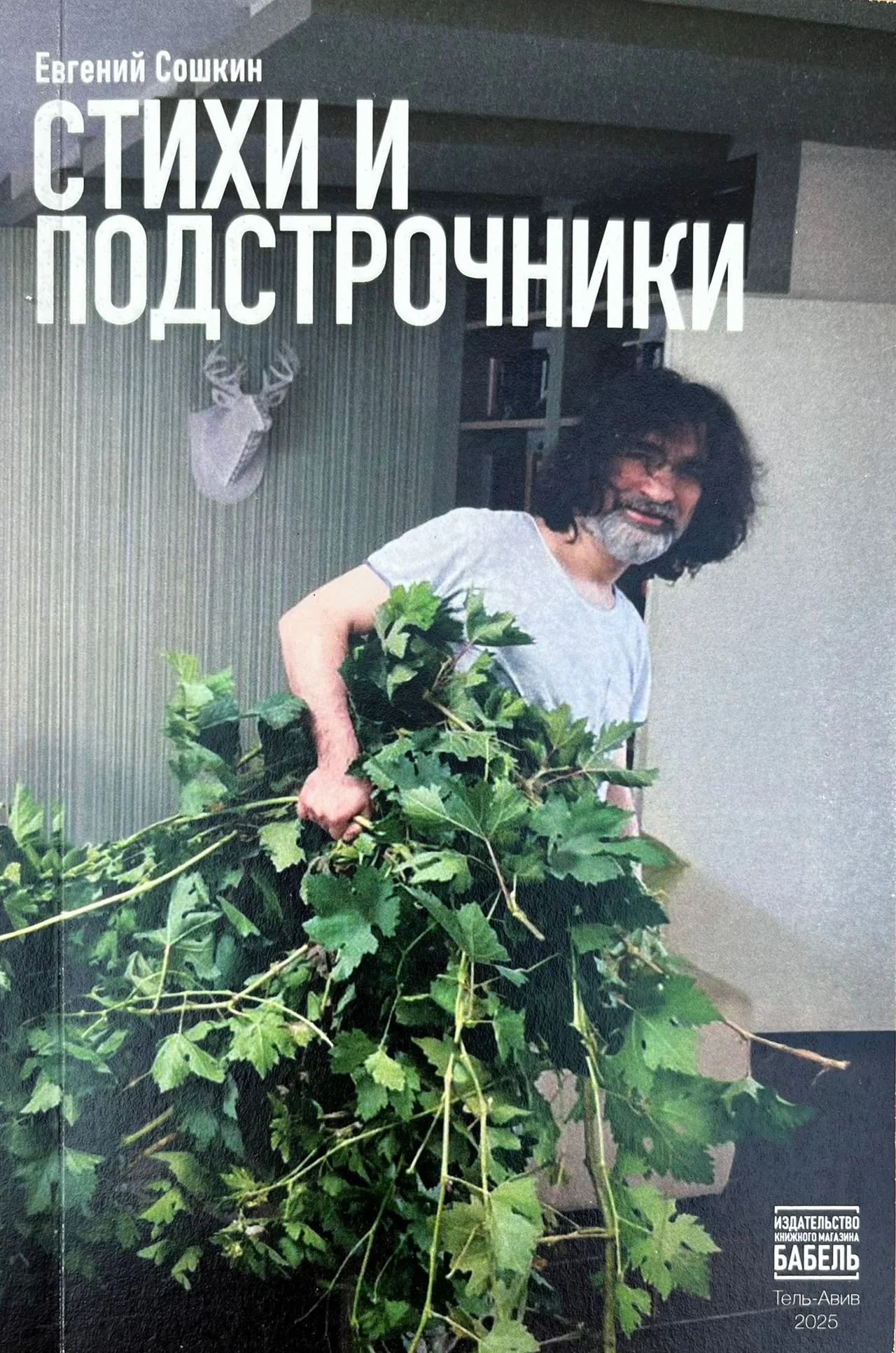 Stihki i podstrochniki Стихи и подстрочники